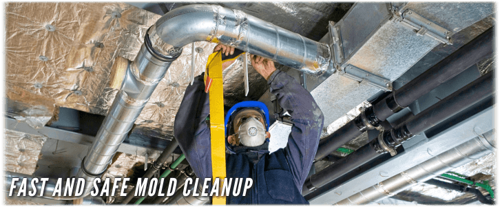 Air Duct Mold Removal in Coral Springs